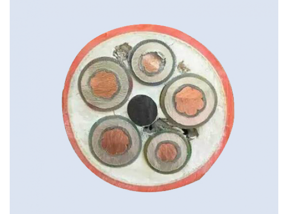 礦物質(zhì)絕緣電纜 1