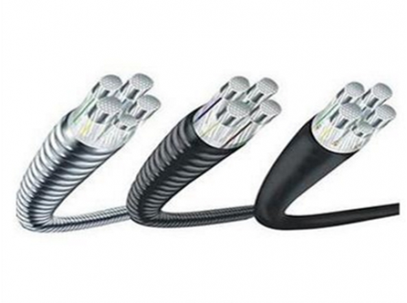 稀土高鐵鋁合金電纜 1