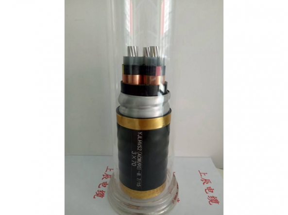 產(chǎn)品圖片 5